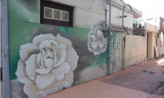 낡은 벽에 꽃이 피니,광주광역시 동구