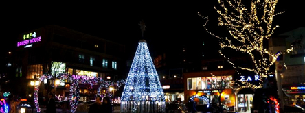 프로방스 빛 축제, 아름다운 동화나라로